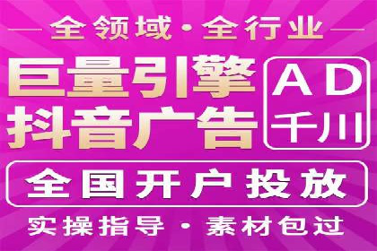 成功SEM服务案例分析报告